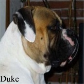 Duke1